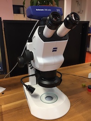 Stemi 508 optical microscope
