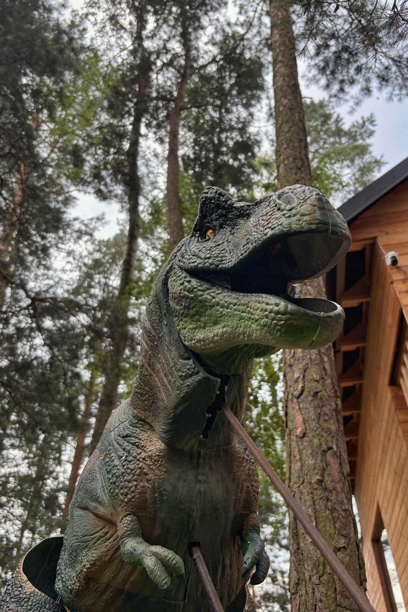 A dinosaur world has sprung up in the forest. 3D printing from CXI TUL helped make it happen